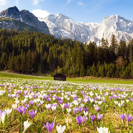 House Of Huetter - Wachtelhof & Spa Марія-Альм-ам-Штайнернен-Мер Екстер'єр фото